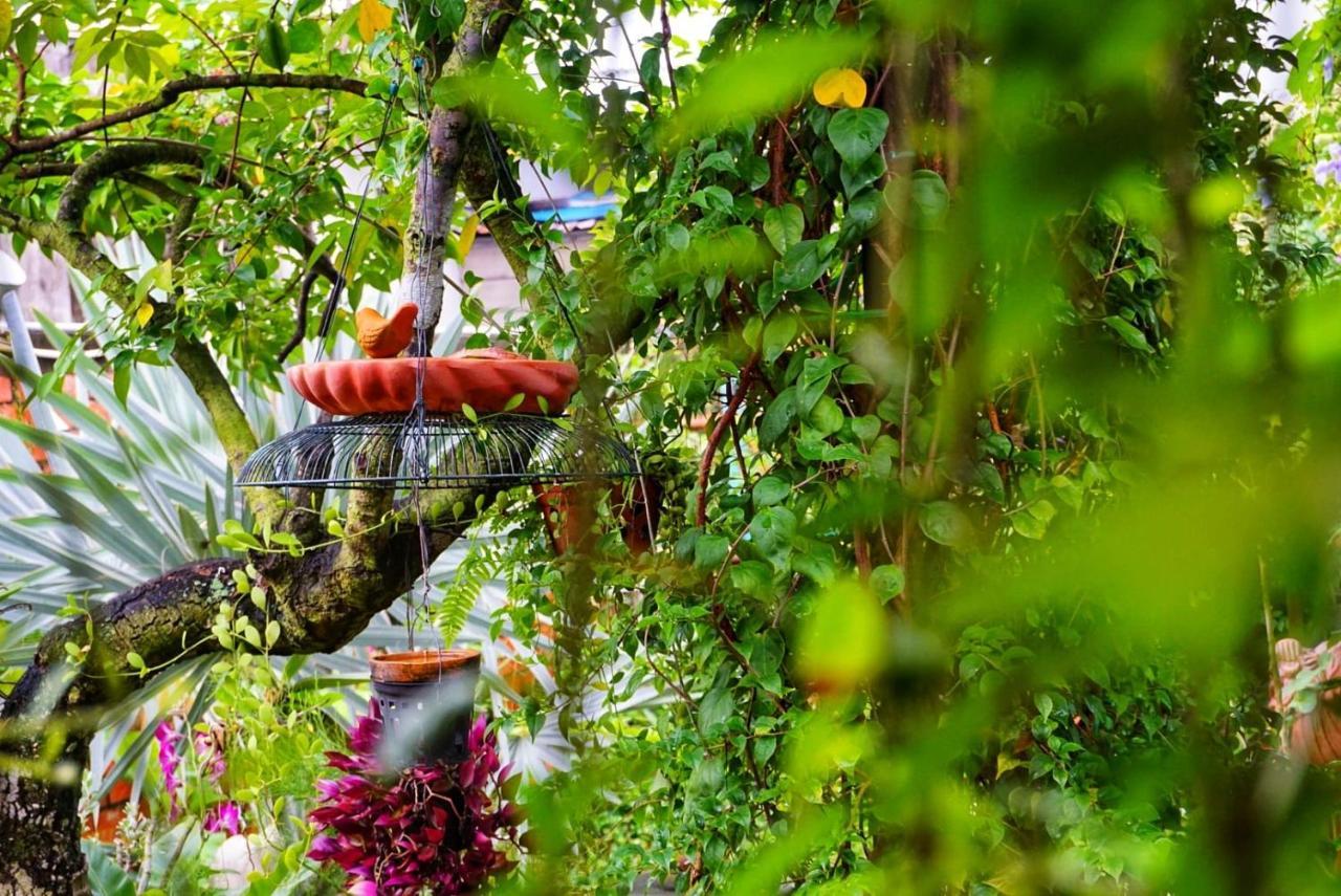 Mekong Pottery Homestay, Green-Friendly & Boat Tour Vĩnh Long Dış mekan fotoğraf