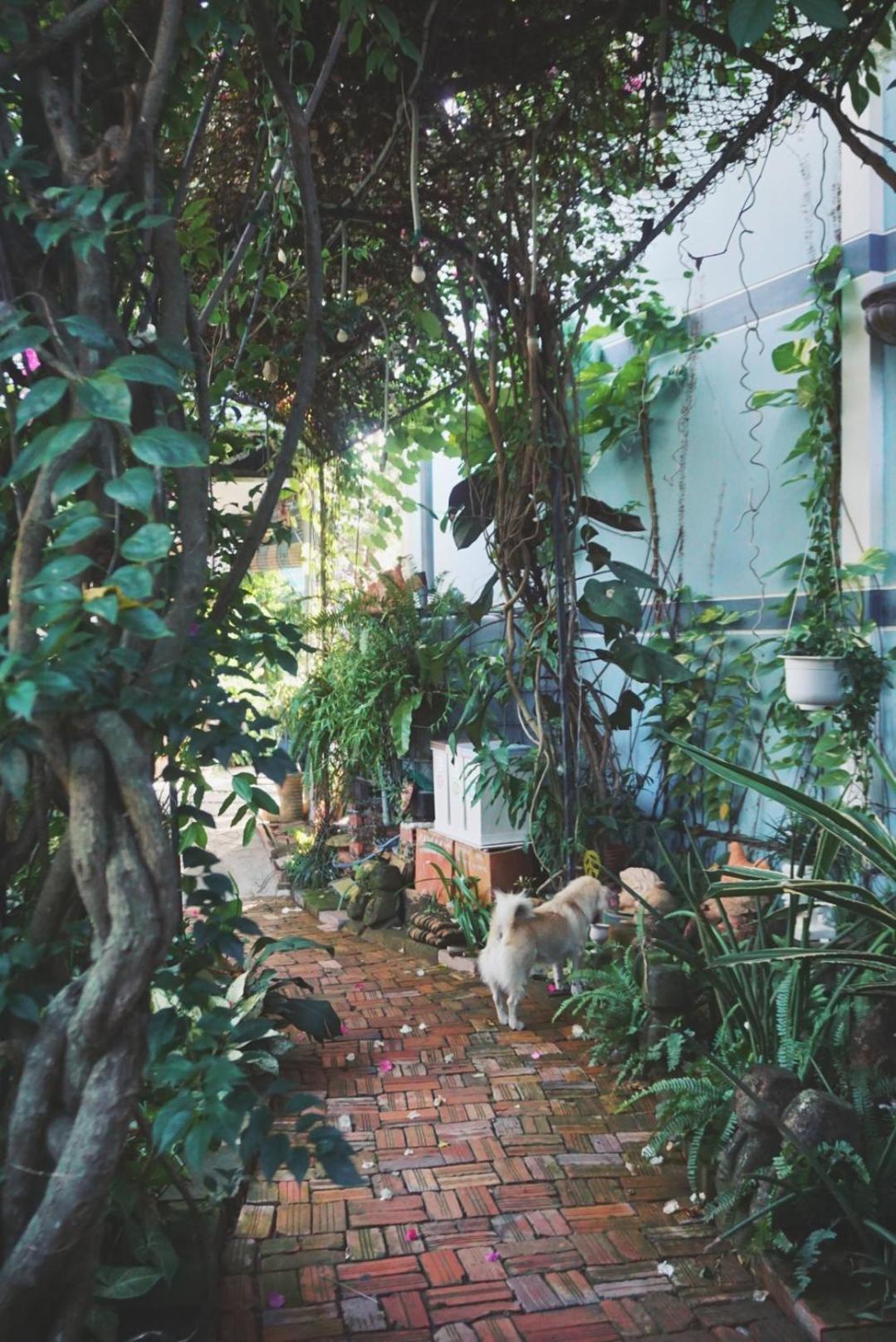 Mekong Pottery Homestay, Green-Friendly & Boat Tour Vĩnh Long Dış mekan fotoğraf